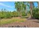 Picturesque backyard with well-manicured lawn and beautiful landscaping at 5009 Lake Overlook Ave, Bradenton, FL 34208