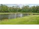 Picturesque pond surrounded by lush greenery, providing a tranquil backyard view at 5520 Coachwood Cv, Bradenton, FL 34211