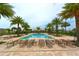 Stunning pool view featuring multiple lounge chairs and palm trees, perfect for relaxation and leisure at 5520 Coachwood Cv, Bradenton, FL 34211