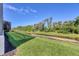 A green backyard lawn slopes to a canal lined with lush greenery at 6228 Champions Row St, Bradenton, FL 34210