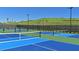 Outdoor pickleball courts showing the nets, striping and court surfaces at 6308 Plateau Ct, Bradenton, FL 34203