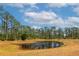 Large pond surrounded by trees and vegetation enhances the backyard's appeal at 6407 213Th E St, Bradenton, FL 34211