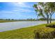 Scenic water view with a lush green grassy bank and distant greenery on a clear day at 1322 Millbrook Cir, Bradenton, FL 34212