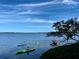 People kayaking in the water on a beautiful day with a clear sky at 1720 Glenhouse Dr # Gl430, Sarasota, FL 34231