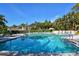 Large community pool with multiple access points surrounded by mature landscaping on a bright, sunny day at 1720 Glenhouse Dr # Gl430, Sarasota, FL 34231