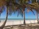 Scenic beach view framed by palm trees and a white fence under a clear blue sky at 1750 Benjamin Franklin Dr # 6B, Sarasota, FL 34236