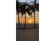 A golden sunset over the beach and palm trees at 1750 Benjamin Franklin Dr # 6B, Sarasota, FL 34236
