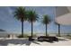Stylish outdoor lounge area with comfortable seating, palm trees, and views of the ocean at 1750 Benjamin Franklin Dr # 6B, Sarasota, FL 34236