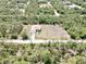 Aerial view of the home showing proximity to forest and location on a long rectangular lot at 27207 Treadmill Dr, Punta Gorda, FL 33955