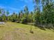 The expansive backyard is surrounded by Florida trees and brush at 27207 Treadmill Dr, Punta Gorda, FL 33955
