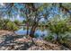 Picturesque waterfront view with lush foliage, calm waters, and natural beauty at 3607 Twin Rivers Trl, Parrish, FL 34219