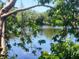 Scenic view of the tranquil lake framed by lush green foliage and clear blue sky at 4058 Gatewood Dr, Sarasota, FL 34232