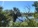 Scenic water view featuring lush greenery and tranquil water, creating a serene and relaxing outdoor environment at 4058 Gatewood Dr, Sarasota, FL 34232