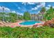 Inviting community pool with lounge chairs, vibrant foliage, and towering palms in a tropical setting at 5601 Bentgrass Dr # 10-105, Sarasota, FL 34235
