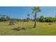 Sprawling backyard features a play set and large grassy area, perfect for Gathering fun and outdoor activities at 13625 3Rd Ne Ave, Bradenton, FL 34212