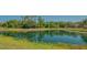 Scenic pond surrounded by lush greenery, offering a tranquil and natural setting at 13625 3Rd Ne Ave, Bradenton, FL 34212