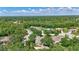 An aerial view of a lush green neighborhood, featuring large homes, and plenty of trees at 14104 E 22Nd Ter, Bradenton, FL 34212