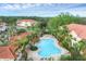 Aerial view of the community pool with ample seating, palm trees, and nearby residential buildings at 232 Explorer Dr # 15, Osprey, FL 34229