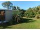 A nice, green backyard with a palm tree surrounded by lush greenery at 320 Tropic Dr, Osprey, FL 34229