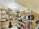 Walk-in pantry with organized shelving and storage solutions for kitchen supplies at 3905 Trentwood Pl, Sarasota, FL 34243