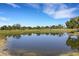 Picturesque view of the community pond and golf course at 4044 Penshurst Park, Sarasota, FL 34235