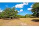 Expansive, sun-drenched field with a lone tree, bordered by lush greenery and a clear blue sky at 4876 253Rd E St, Myakka City, FL 34251