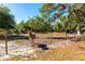 Donkey standing in fenced pasture with mature trees in the background at 4876 253Rd E St, Myakka City, FL 34251
