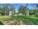 Spacious backyard with lush green grass and shady trees at 5649 Summerside Ln # 41B, Sarasota, FL 34231