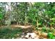 Lush green hiking trails in Red Bug Slough Preserve at 5649 Summerside Ln # 41B, Sarasota, FL 34231