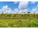 Serene backyard with lush green lawn and black metal fence offering privacy and picturesque views of nature at 14322 Cando Ave, Port Charlotte, FL 33981