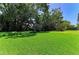 Expansive, well-maintained backyard with lush green grass and mature trees, offering a serene outdoor space at 1809 67Th W St, Bradenton, FL 34209
