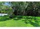 Lush backyard featuring a manicured lawn, verdant greenery, and mature trees, creating a tranquil outdoor retreat at 1809 67Th W St, Bradenton, FL 34209