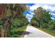 Lush green trees on either side of the Legacy Trail for walking and biking at 3647 Country Place Blvd, Sarasota, FL 34233