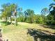Spacious backyard with green lawns, mature trees, and tropical foliage at 6631 63Rd E Ter, Bradenton, FL 34203