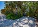 Lush front yard with tropical plants and trees surrounding the property at 750 Tarawitt Dr, Longboat Key, FL 34228