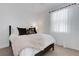 Bedroom with black accents, a plush throw, and lots of natural light at 7859 Yale Harbor Dr, Wesley Chapel, FL 33545