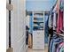 Walk-in closet with shelving and hanging rods for organized storage of clothes and accessories at 8067 Waterbend Trl, Sarasota, FL 34240