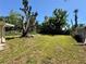 The backyard offers a large grassy area with mature trees at 1317 Venetia St, Nokomis, FL 34275