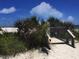 Picturesque beach access with sandy path and wooden walkway through lush tropical vegetation under a sunny sky at 466 Sunnyside Dr, Venice, FL 34293