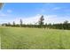 Expansive backyard with lush green grass and manicured hedge providing privacy at 6708 162Nd E Pl, Parrish, FL 34219