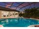 Sparkling pool surrounded by tropical foliage at 7011 Belmont Ct, Lakewood Ranch, FL 34202