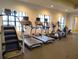 Community gym featuring modern cardio equipment and large windows providing an open and airy workout environment at 1264 Riverscape St # B, Bradenton, FL 34208