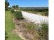 Community path lined with rocks and grass near the water at 1264 Riverscape St # B, Bradenton, FL 34208