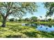 Lush backyard with a picturesque pond and beautiful surroundings at 3870 Alamanda Dr, Sarasota, FL 34238