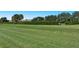 Expansive green space perfect for outdoor activities and enjoying nature at 3870 Alamanda Dr, Sarasota, FL 34238