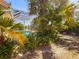 A screened-in pool area is surrounded by lush tropical landscaping in this home's backyard at 4729 Peridia E Blvd, Bradenton, FL 34203