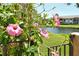 Beautiful patio area with blooming hibiscus flowers and peaceful water view at desirable community at 5230 Landings Blvd # 101, Sarasota, FL 34231