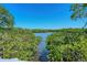 Scenic water view surrounded by lush mangrove trees under a clear blue sky at 5230 Landings Blvd # 101, Sarasota, FL 34231