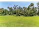 Green backyard with a vast, grassy expanse bordered by mature trees, blending into the natural Florida landscape at 5616 90Th Avenue E Cir, Parrish, FL 34219