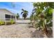 Lush backyard featuring privacy fence and various tropical trees at 652 Ohio Pl, Sarasota, FL 34236